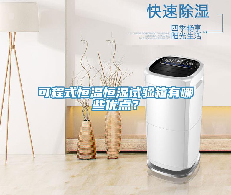 可程式恒溫恒濕試驗(yàn)箱有哪些優(yōu)點(diǎn)？
