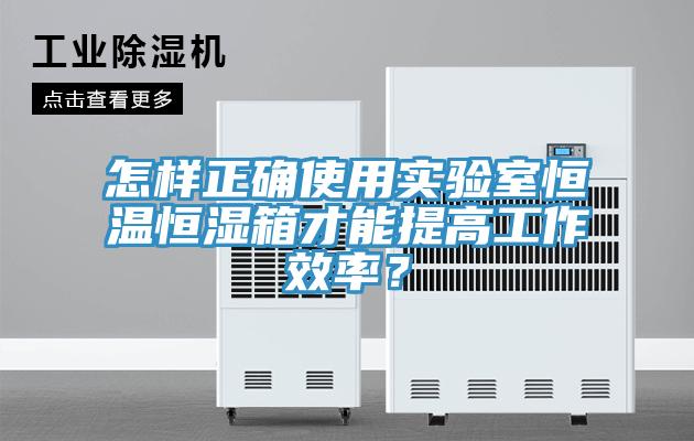 怎樣正確使用實(shí)驗(yàn)室恒溫恒濕箱才能提高工作效率？