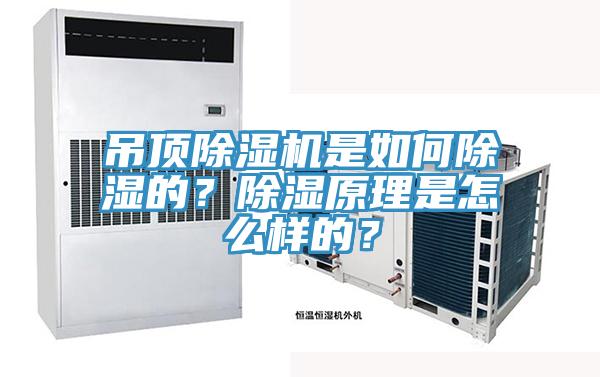 吊頂除濕機(jī)是如何除濕的？除濕原理是怎么樣的？
