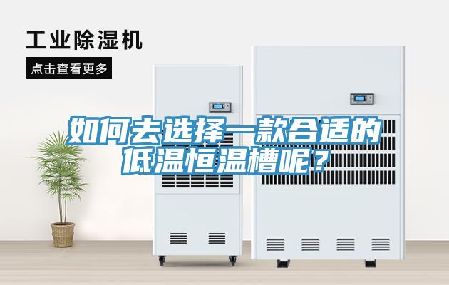 如何去選擇一款合適的低溫恒溫槽呢？