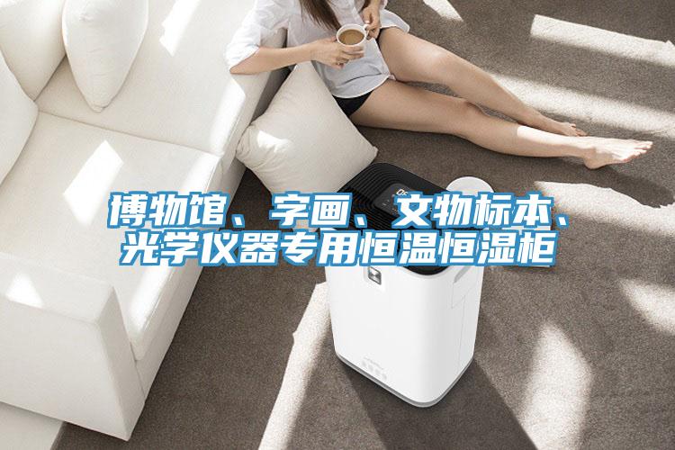 博物館、字畫、文物標(biāo)本、光學(xué)儀器專用恒溫恒濕柜