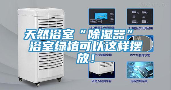 天然浴室“除濕器” 浴室綠植可以這樣擺放！