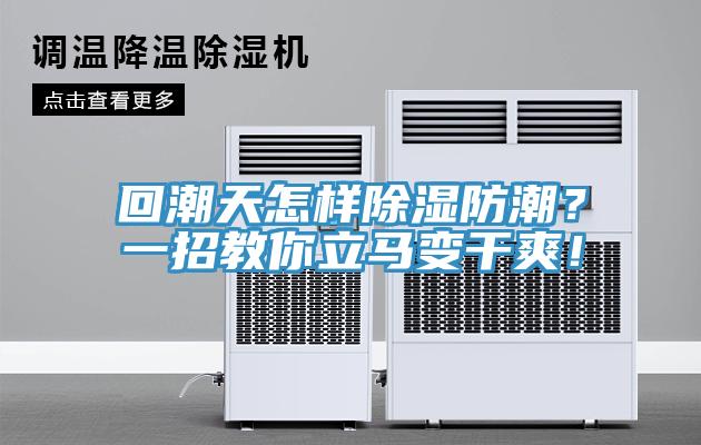回潮天怎樣除濕防潮？一招教你立馬變干爽！