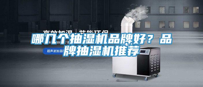 哪幾個(gè)抽濕機(jī)品牌好？品牌抽濕機(jī)推薦