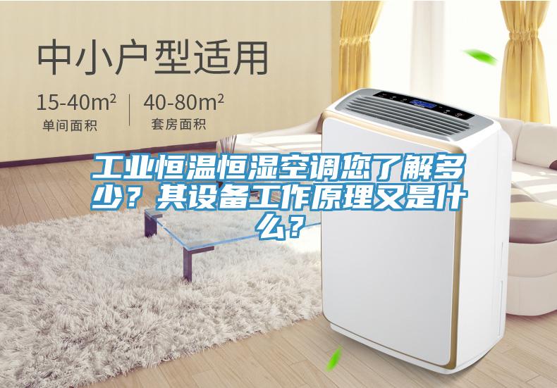 工業(yè)恒溫恒濕空調(diào)您了解多少？其設(shè)備工作原理又是什么？