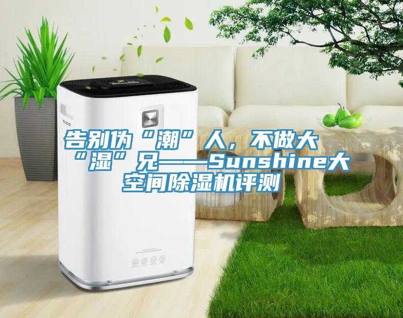 告別偽“潮”人，不做大“濕”兄——Sunshine大空間除濕機(jī)評(píng)測(cè)