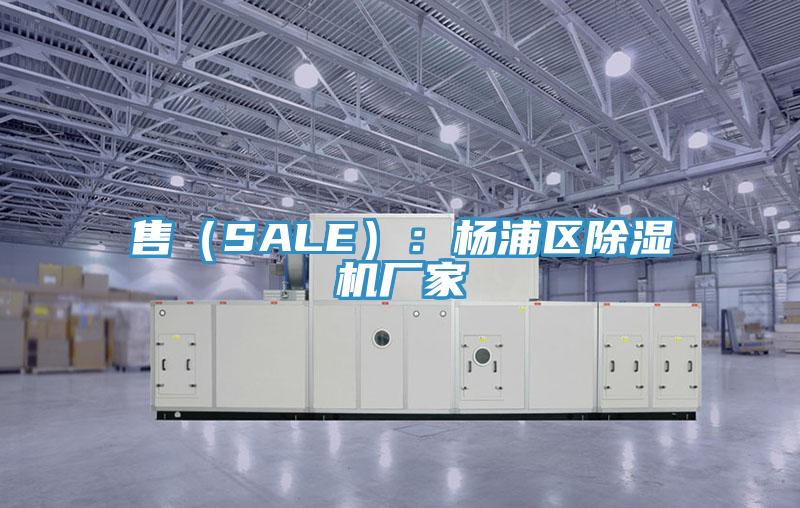 售（SALE）：楊浦區(qū)除濕機(jī)廠(chǎng)家