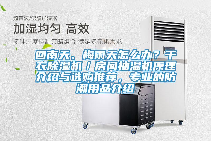 回南天、梅雨天怎么辦？干衣除濕機(jī)／房間抽濕機(jī)原理介紹與選購(gòu)?fù)扑]，專業(yè)的防潮用品介紹