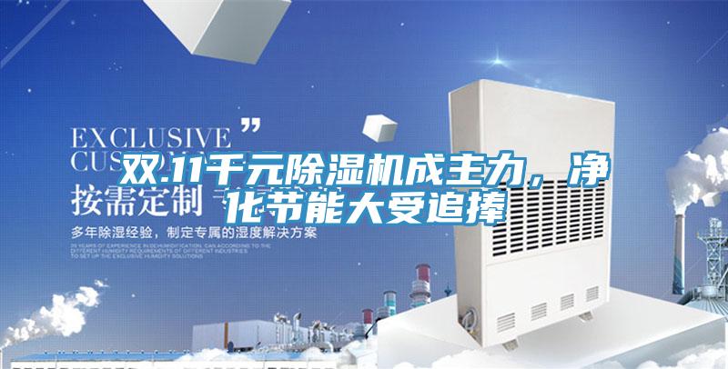 雙.11千元除濕機成主力，凈化節(jié)能大受追捧