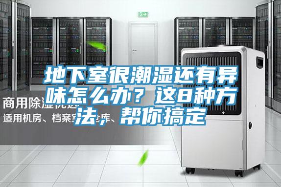 地下室很潮濕還有異味怎么辦？這8種方法，幫你搞定