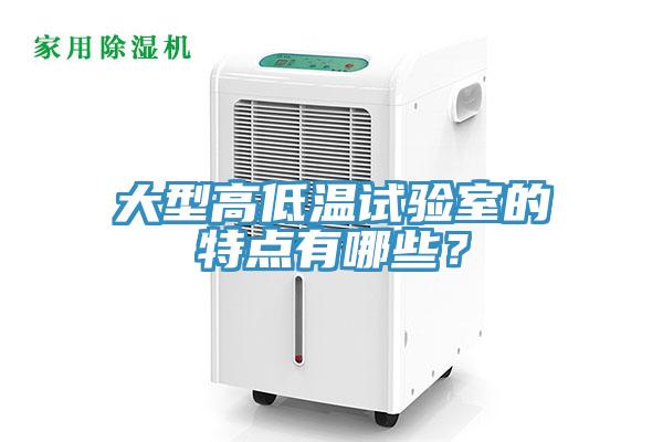 大型高低溫試驗(yàn)室的特點(diǎn)有哪些？