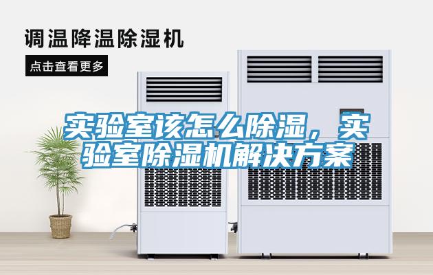 實(shí)驗(yàn)室該怎么除濕，實(shí)驗(yàn)室除濕機(jī)解決方案