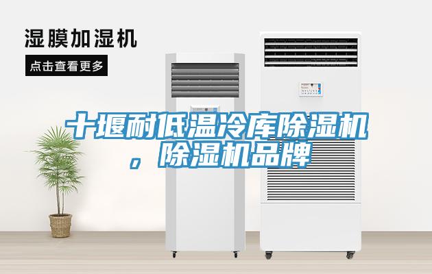 十堰耐低溫冷庫除濕機，除濕機品牌