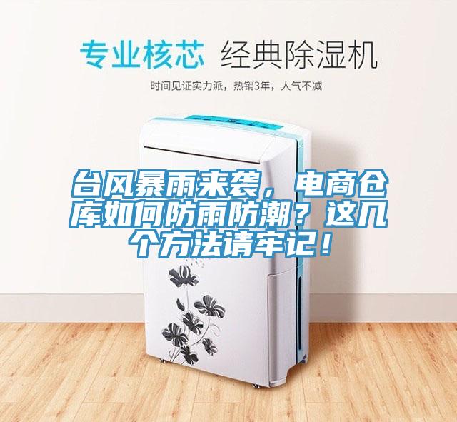 臺(tái)風(fēng)暴雨來(lái)襲，電商倉(cāng)庫(kù)如何防雨防潮？這幾個(gè)方法請(qǐng)牢記！