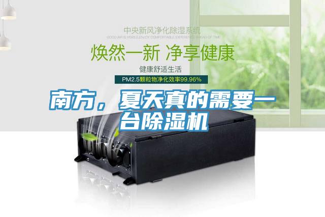 南方，夏天真的需要一臺除濕機