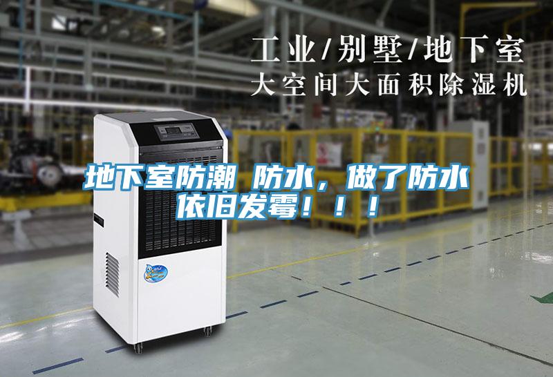地下室防潮≠防水，做了防水依舊發(fā)霉?。?！