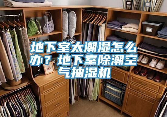 地下室太潮濕怎么辦？地下室除潮空氣抽濕機(jī)