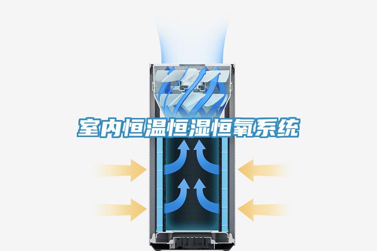 室內恒溫恒濕恒氧系統(tǒng)