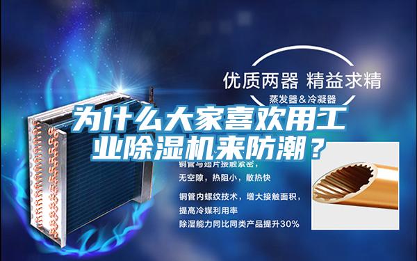 為什么大家喜歡用工業(yè)除濕機(jī)來防潮？