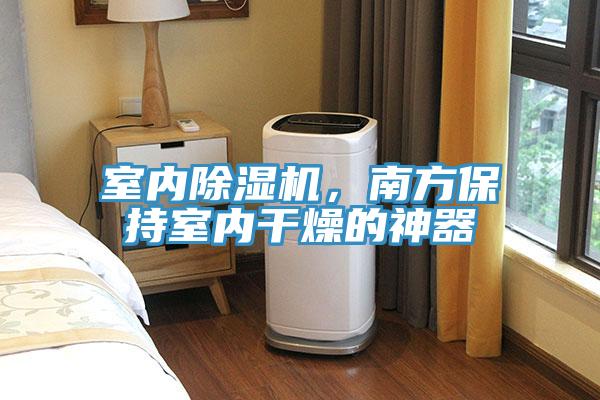 室內(nèi)除濕機(jī)，南方保持室內(nèi)干燥的神器