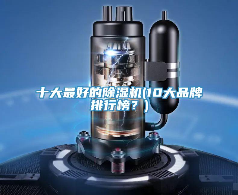十大最好的除濕機(10大品牌排行榜？)