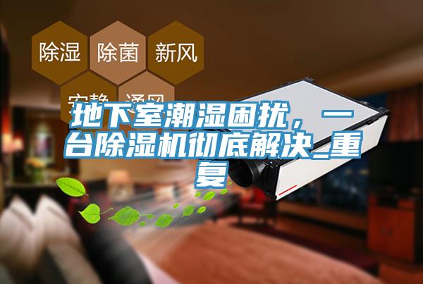 地下室潮濕困擾，一臺(tái)除濕機(jī)徹底解決_重復(fù)