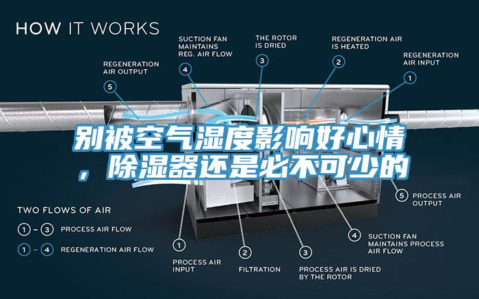 別被空氣濕度影響好心情，除濕器還是必不可少的