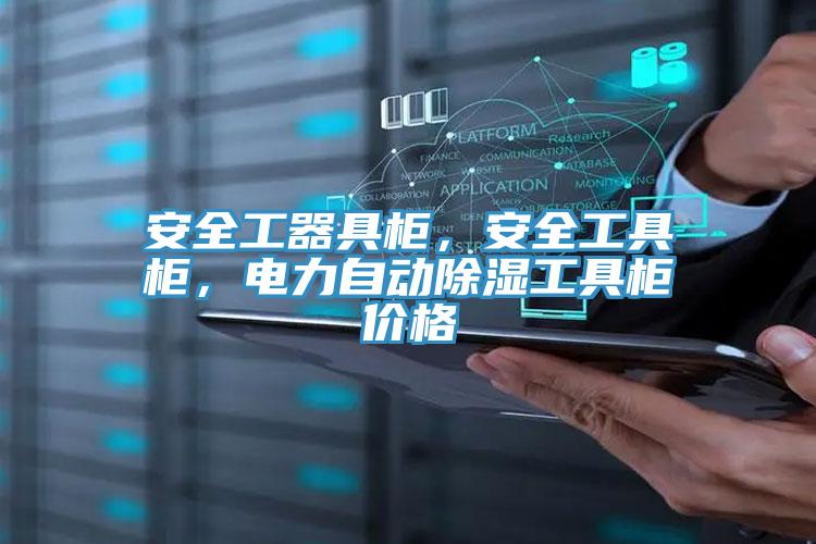 安全工器具柜，安全工具柜，電力自動除濕工具柜價格