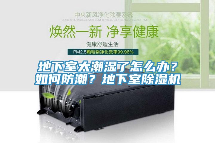 地下室太潮濕了怎么辦？如何防潮？地下室除濕機