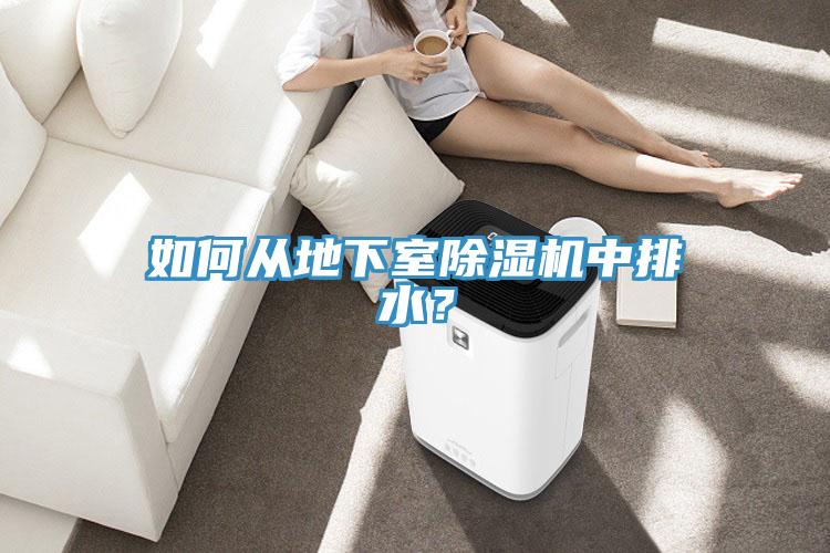 如何從地下室除濕機(jī)中排水？