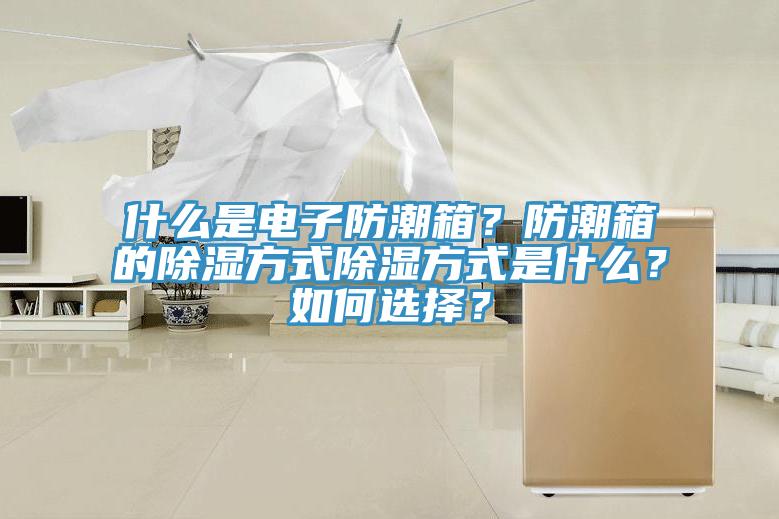 什么是電子防潮箱？防潮箱的除濕方式除濕方式是什么？如何選擇？