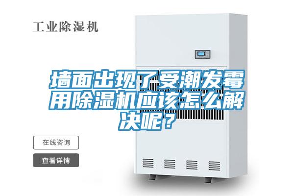 墻面出現(xiàn)了受潮發(fā)霉用除濕機(jī)應(yīng)該怎么解決呢？