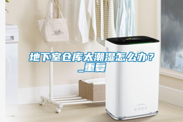 地下室倉(cāng)庫(kù)太潮濕怎么辦？_重復(fù)