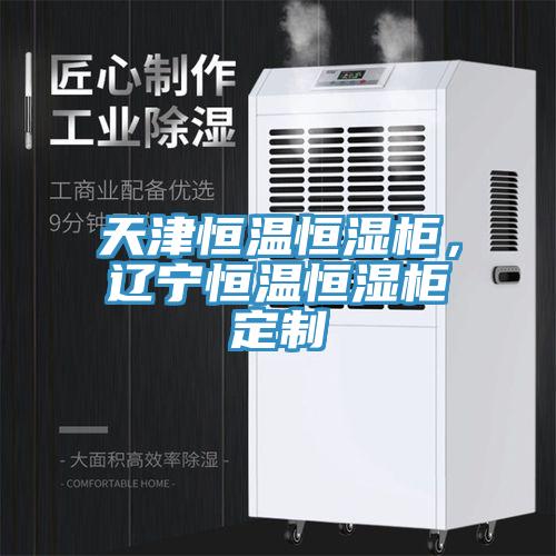 天津恒溫恒濕柜，遼寧恒溫恒濕柜定制