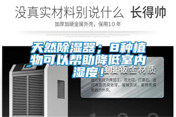 天然除濕器；8種植物可以幫助降低室內(nèi)濕度！
