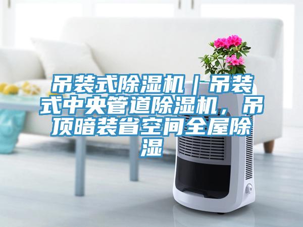 吊裝式除濕機｜吊裝式中央管道除濕機，吊頂暗裝省空間全屋除濕