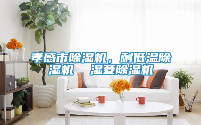 孝感市除濕機，耐低溫除濕機  濕菱除濕機
