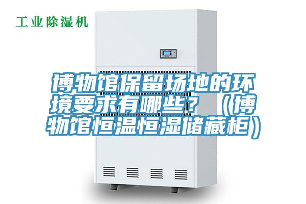 博物館保留場(chǎng)地的環(huán)境要求有哪些？（博物館恒溫恒濕儲(chǔ)藏柜）