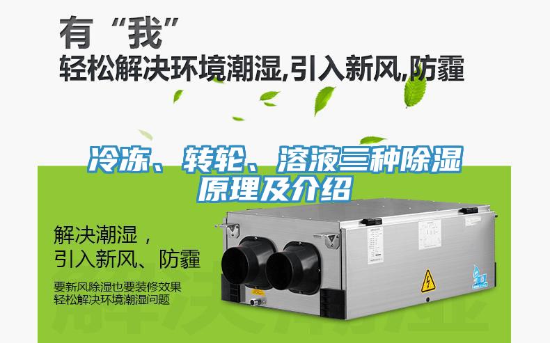冷凍、轉(zhuǎn)輪、溶液三種除濕原理及介紹