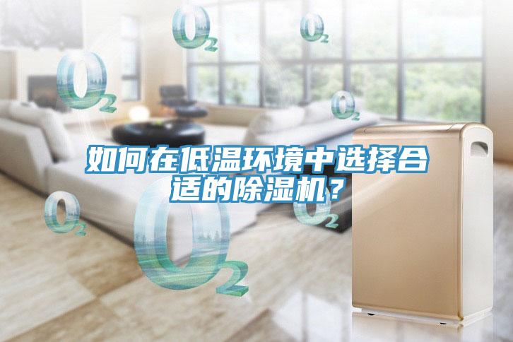 如何在低溫環(huán)境中選擇合適的除濕機(jī)？