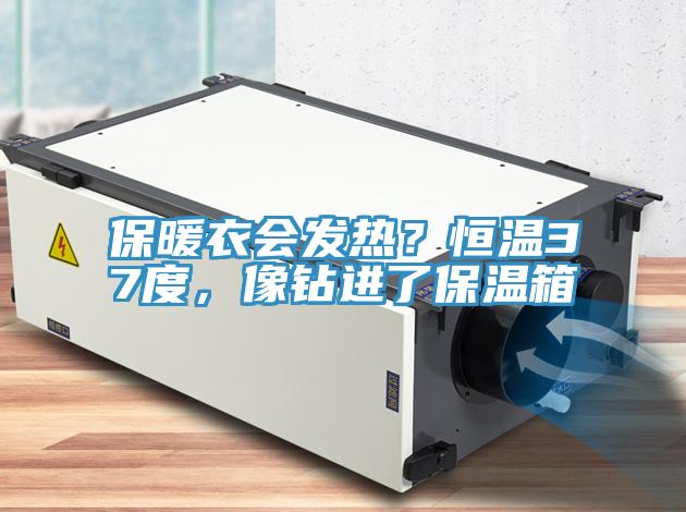 保暖衣會(huì)發(fā)熱？恒溫37度，像鉆進(jìn)了保溫箱