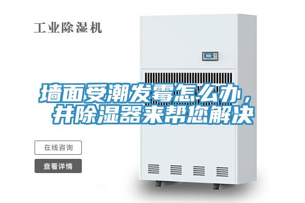 墻面受潮發(fā)霉怎么辦，東井除濕器來(lái)幫您解決