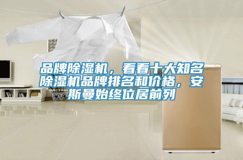 品牌除濕機(jī)，看看十大知名除濕機(jī)品牌排名和價(jià)格，安斯曼始終位居前列