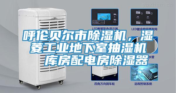 呼倫貝爾市除濕機，濕菱工業(yè)地下室抽濕機  庫房配電房除濕器