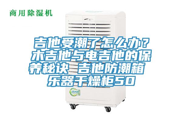 吉他受潮了怎么辦？木吉他與電吉他的保養(yǎng)秘訣 吉他防潮箱 樂器干燥柜50