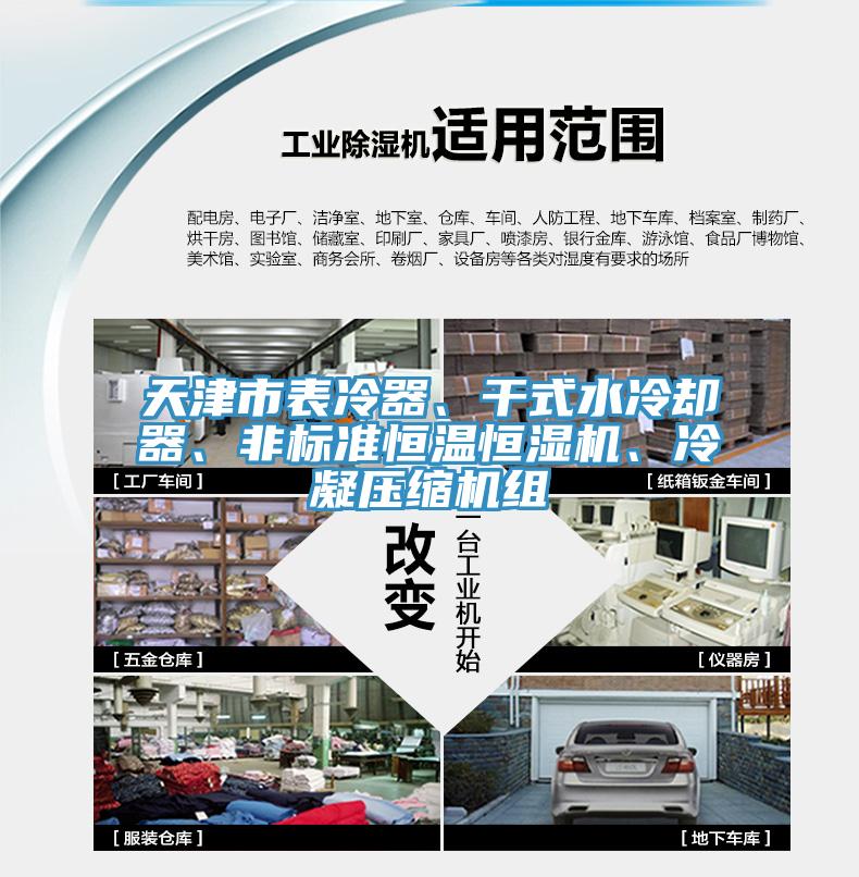 天津市表冷器、干式水冷卻器、非標(biāo)準(zhǔn)恒溫恒濕機(jī)、冷凝壓縮機(jī)組