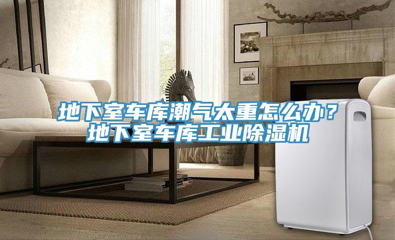 地下室車庫潮氣太重怎么辦？地下室車庫工業(yè)除濕機