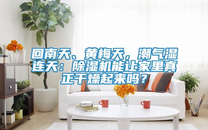 回南天、黃梅天，潮氣濕連天：除濕機(jī)能讓家里真正干燥起來(lái)嗎？