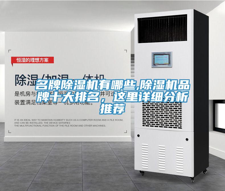 名牌除濕機(jī)有哪些,除濕機(jī)品牌十大排名，這里詳細(xì)分析推薦