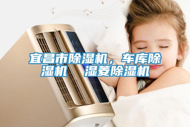 宜昌市除濕機(jī)，車庫(kù)除濕機(jī)  濕菱除濕機(jī)
